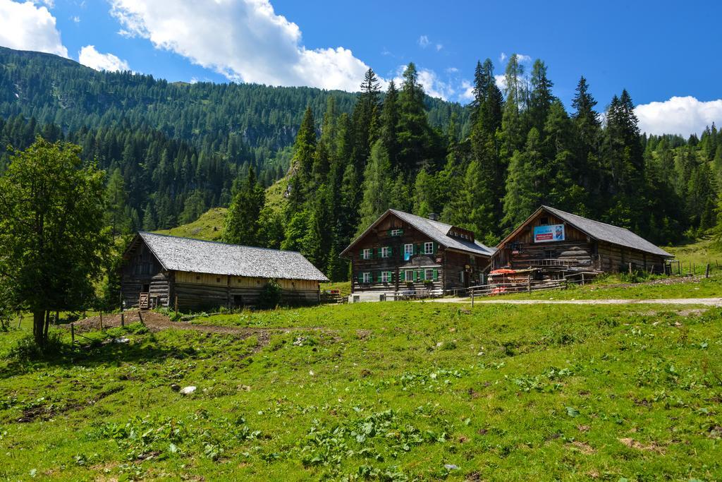 Schmiedlehenalm Apartamento Obertauern Exterior foto